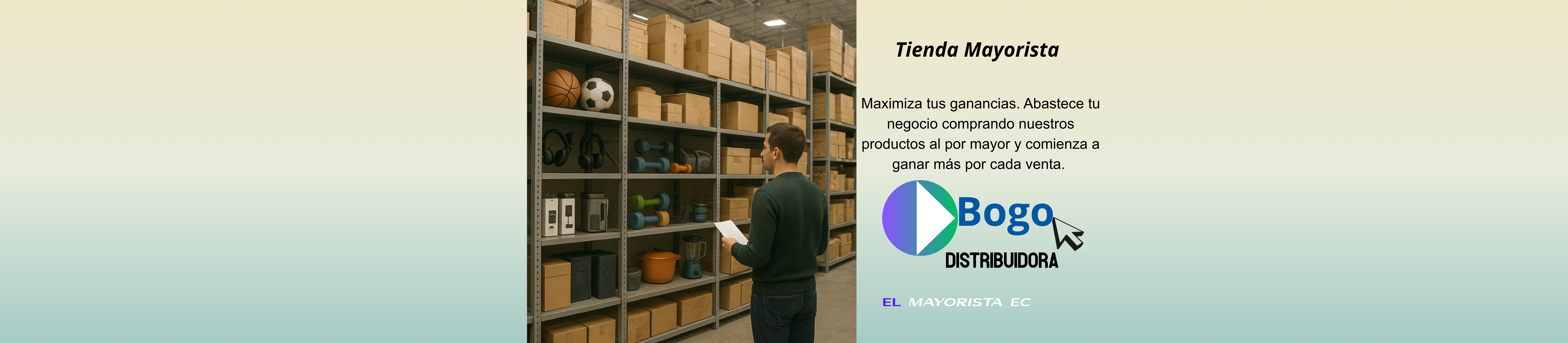 Sistema de Gestión MayoristaEC promo